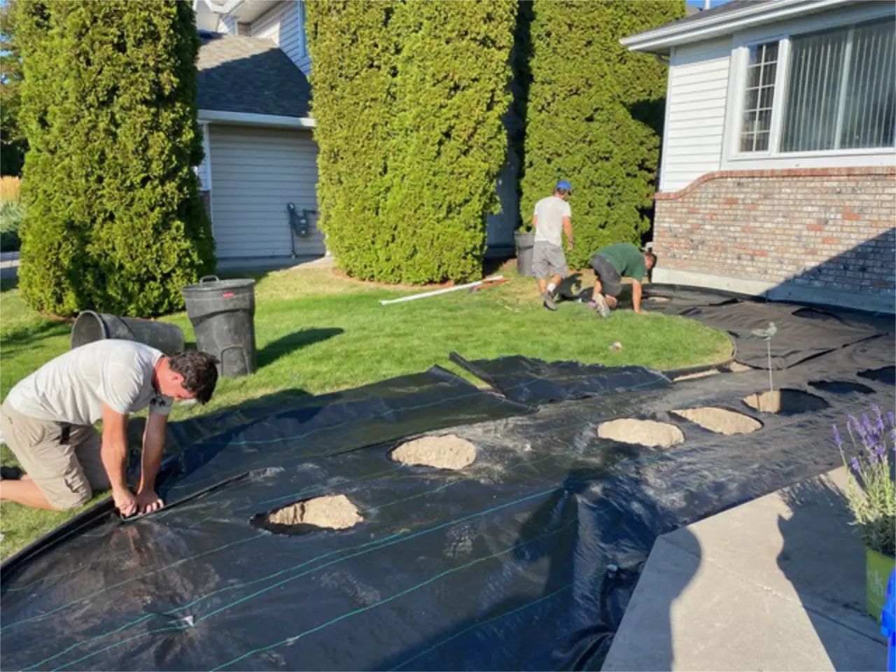 Three people working on landscaping in a residential yard, laying down a black weed barrier fabric with cutouts for plants on a sunny day.