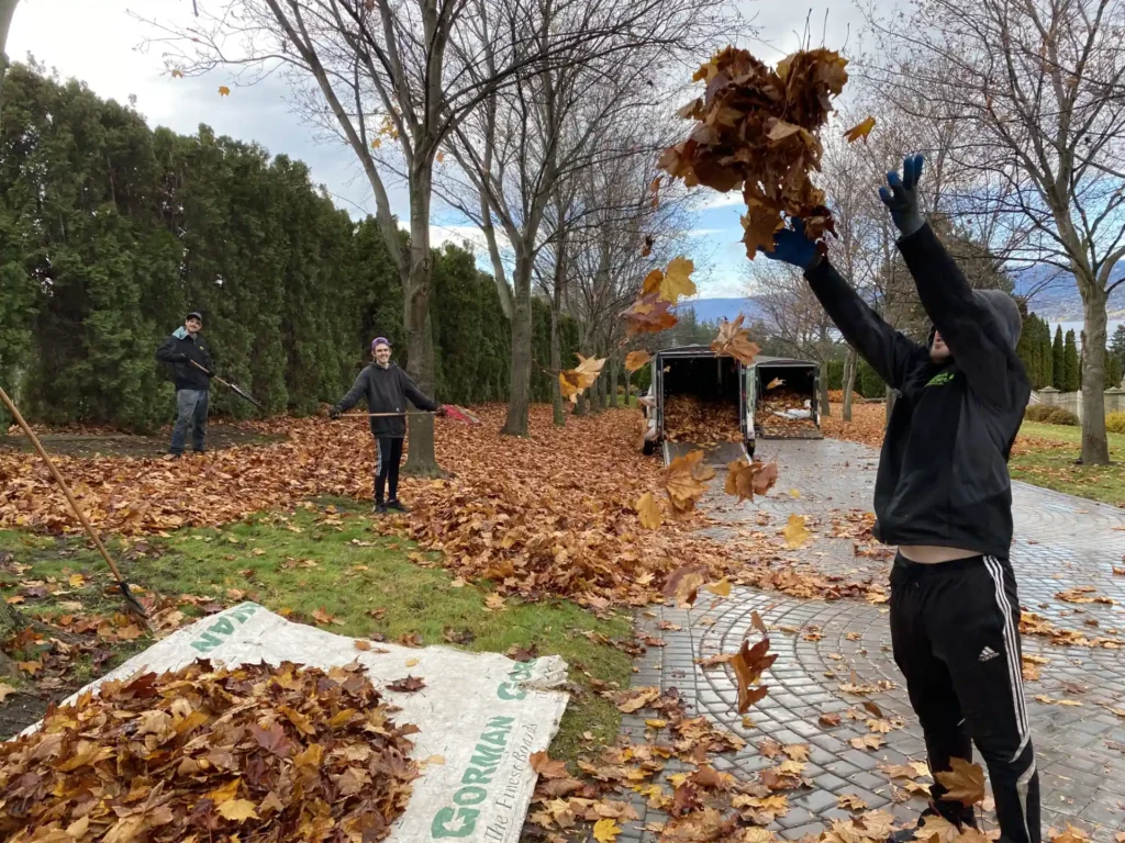 Three people are cleaning up fallen leaves in a yard during autumn. One is throwing leaves into the air, another is raking, and the third is holding a leaf blower. There's a pile of collected leaves on a tarp, trees with sparse leaves, and an open trailer in the background.