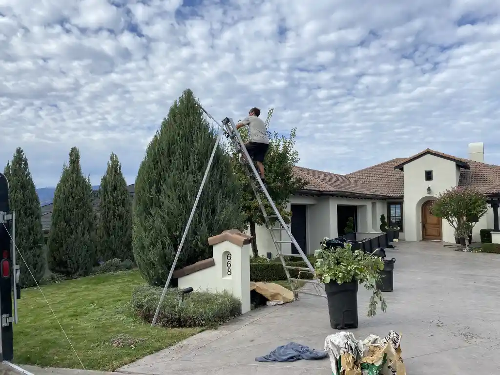 A person stands on a ladder trimming a tall hedge in front of a house with a Spanish tile roof under a partly cloudy sky. There are cut branches in garbage bins and on a tarp on the driveway.
