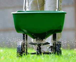 A green lawn spreader dispensing fertilizer onto a grassy lawn.