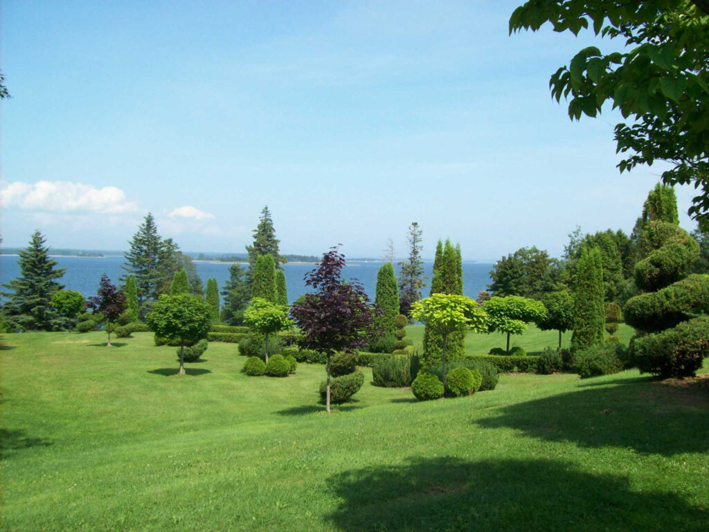 A well-manicured garden with an assortment of trees and bushes overlooking a large body of water on a clear day.