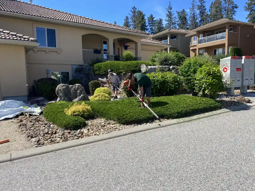 Two individuals gardening by a well-maintained front yard with shrubs and rocks in front of duplex-style homes on a sunny day.