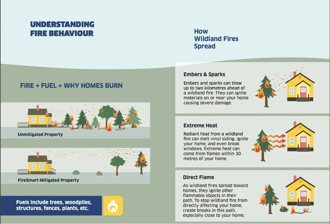 An infographic titled "Understanding Fire Behaviour" with two sections side by side. The left side is headed "FIRE + FUEL = WHY HOMES BURN" with two illustrations: the top one labeled 'Unmitigated Property' showing a house with flames spreading from a forest fire to the home and surrounding trees, and the bottom one labeled 'FireSmart-Mitigated Property' depicting a similar house with no flames reaching it and a clear area around it. On the right side, the title "How Wildland Fires Spread" is followed by three subsections: "Embers & Sparks" with an image of a house and embers being blown toward it; "Extreme Heat" showing heat waves going towards a house making the sides melt and a window break; and "Direct Flame" with flames directly touching a house surrounded by burning objects. The bottom of the infographic states "Fuels include trees, woodpiles, structures, fences, plants, etc." with a flame icon.