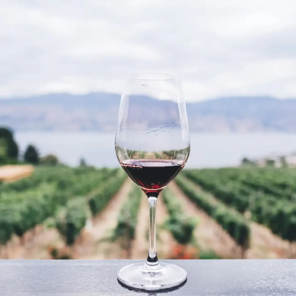 A glass of red wine on a ledge with a blurred background showcasing rows of vines in a vineyard and a large body of water with hills in the distance.